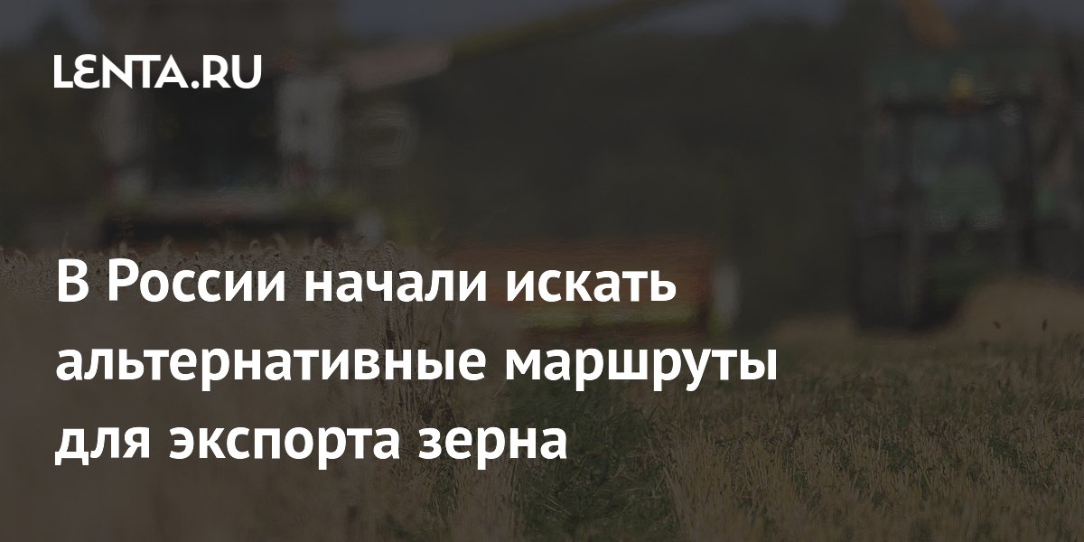 Ростовская область ищет альтернативные маршруты экспорта зерна