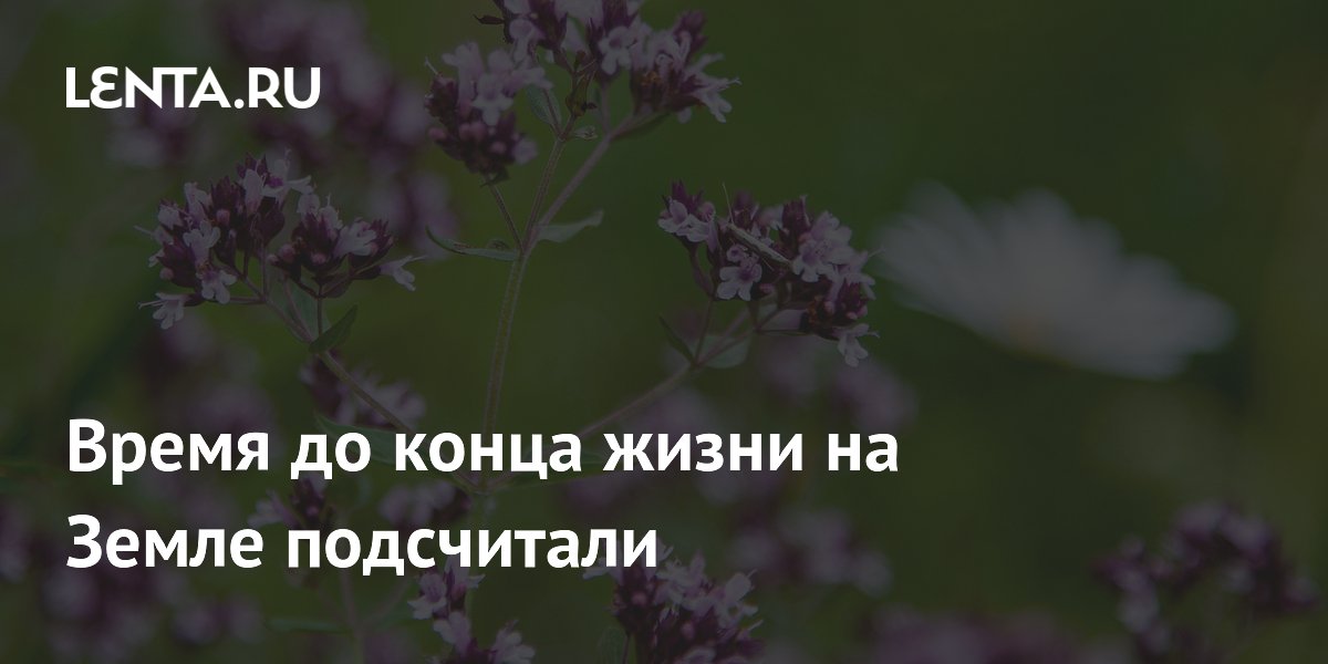 Растения исчезнут с Земли через 1,87 миллиарда лет — ученые назвали причину