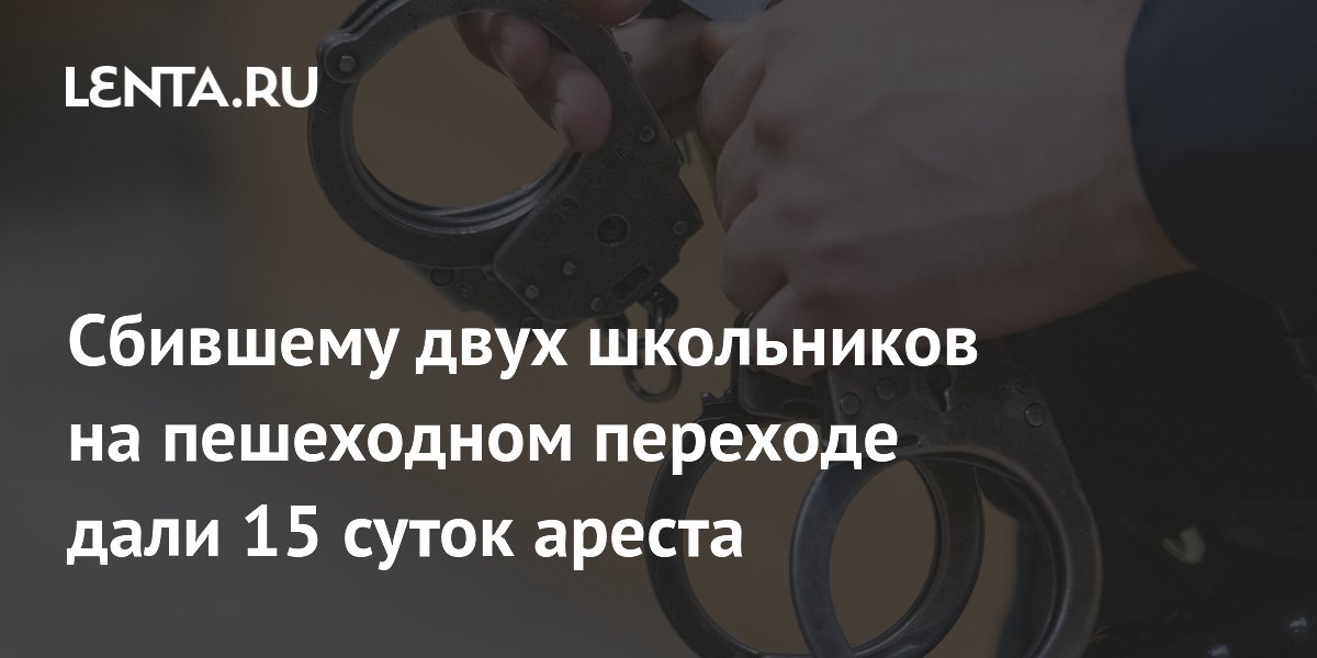 Сбившему двух детей на переходе в Иркутске дали 15 суток ареста