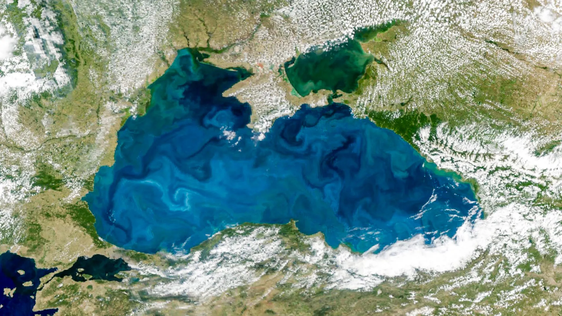 Спутник NASA зафиксировал бирюзовое свечение Черного моря из-за цветения фитопланктона
