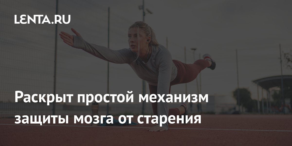 Раскрыт простой механизм защиты мозга от старения: достаточно регулярных тренировок