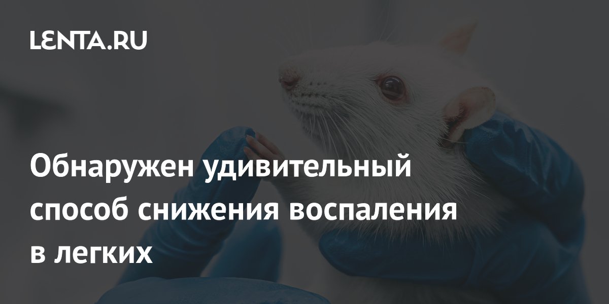 Стимуляция нерва в ухе снижает воспаление в легких: открытие для лечения астмы