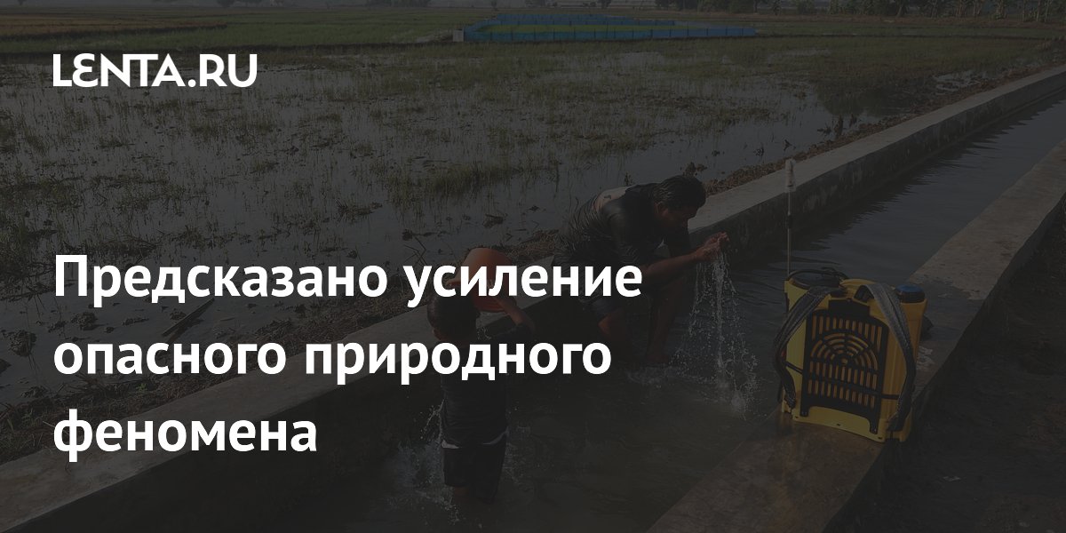 Климатолог предсказал пик Эль-Ниньо в декабре 2026 года