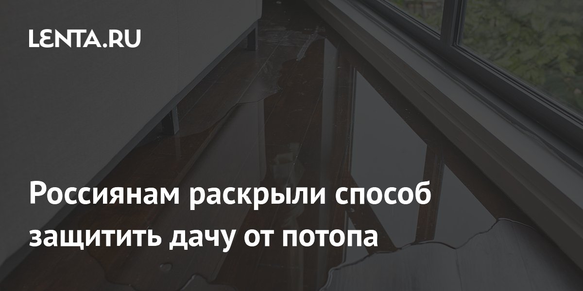 Садовод Туманов: сточные канавы защитят дачу от потопа после ливней
