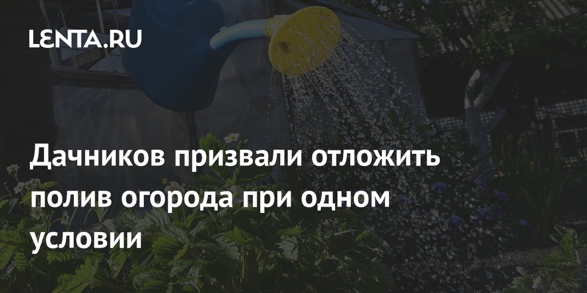 Дачникам рекомендовали отложить полив огорода в зной: вода не доходит до корней
