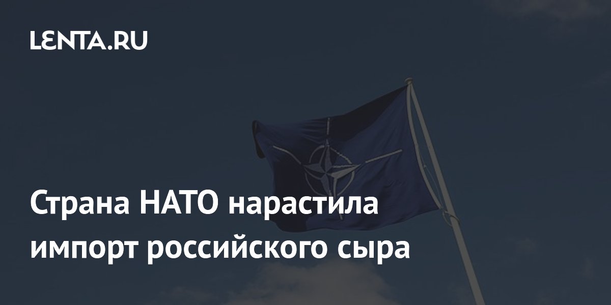 США нарастили импорт российского сыра до рекордных $133,8 тыс