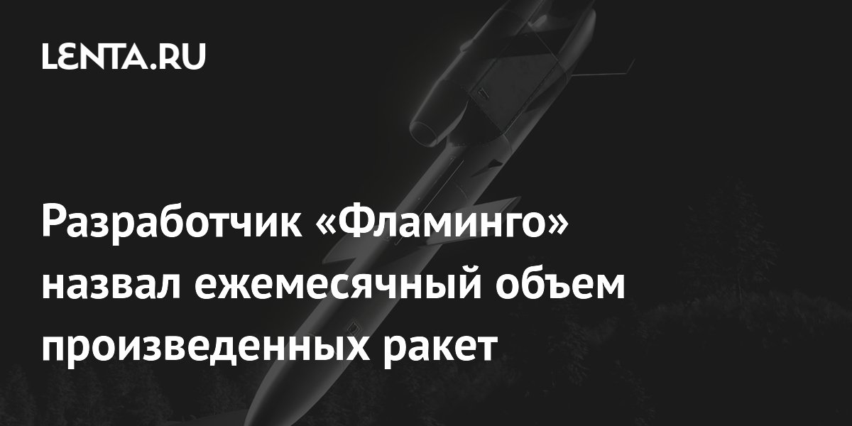 Конструктор раскрыл ежемесячный выпуск ракет «Фламинго»: 90 единиц