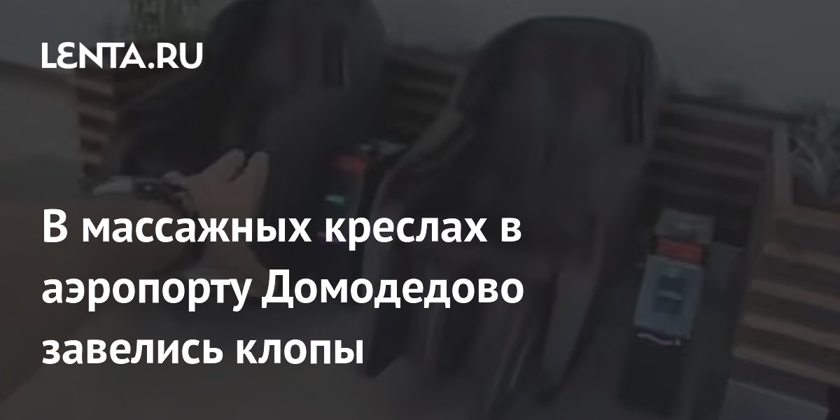 Пассажиры нашли клопов в массажных креслах аэропорта Домодедово