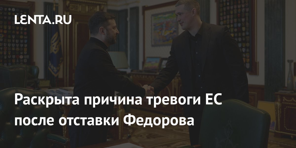В ЕС обеспокоены судьбой оборонных программ с Украиной после отставки Федорова