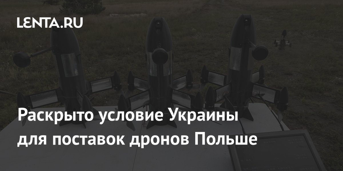Украина запросила у Польши МиГ-29 и оборудование в обмен на дроны