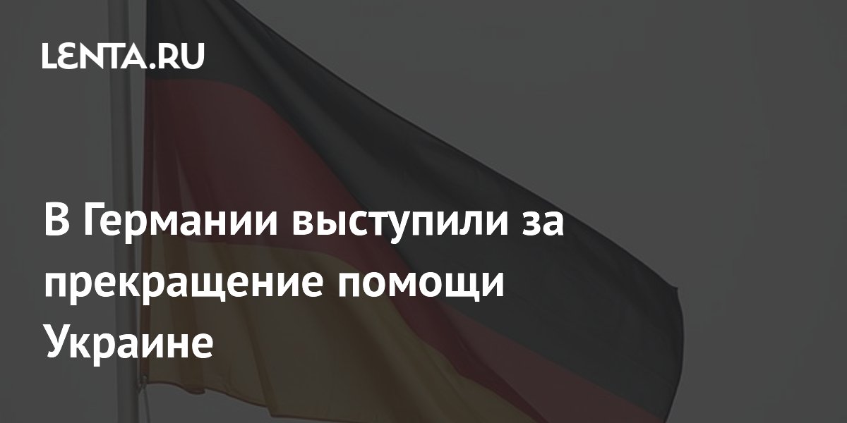 Лидер АдГ Вайдель призвала Германию прекратить всю помощь Украине