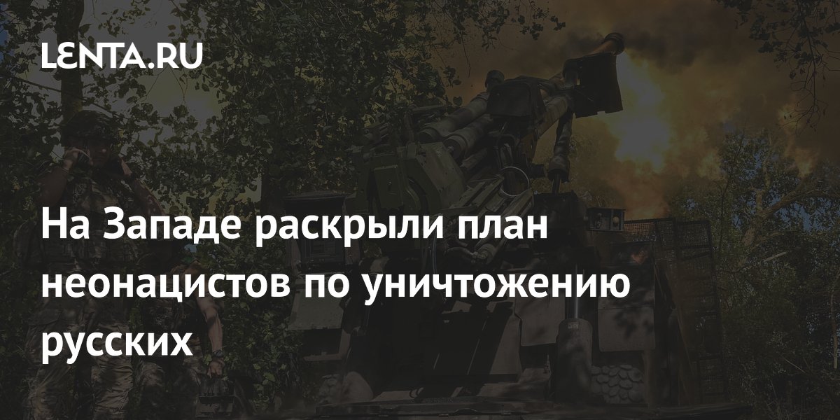 Бывший аналитик ЦРУ раскрыл план неонацистов по уничтожению русских
