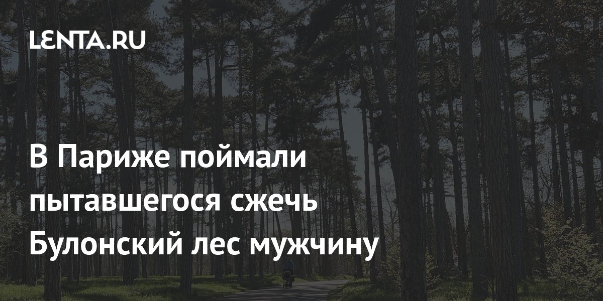 В Париже задержан 23-летний мужчина при попытке поджечь Булонский лес В Париже задержан 23-летний мужчина при попытке поджечь Булонский лес