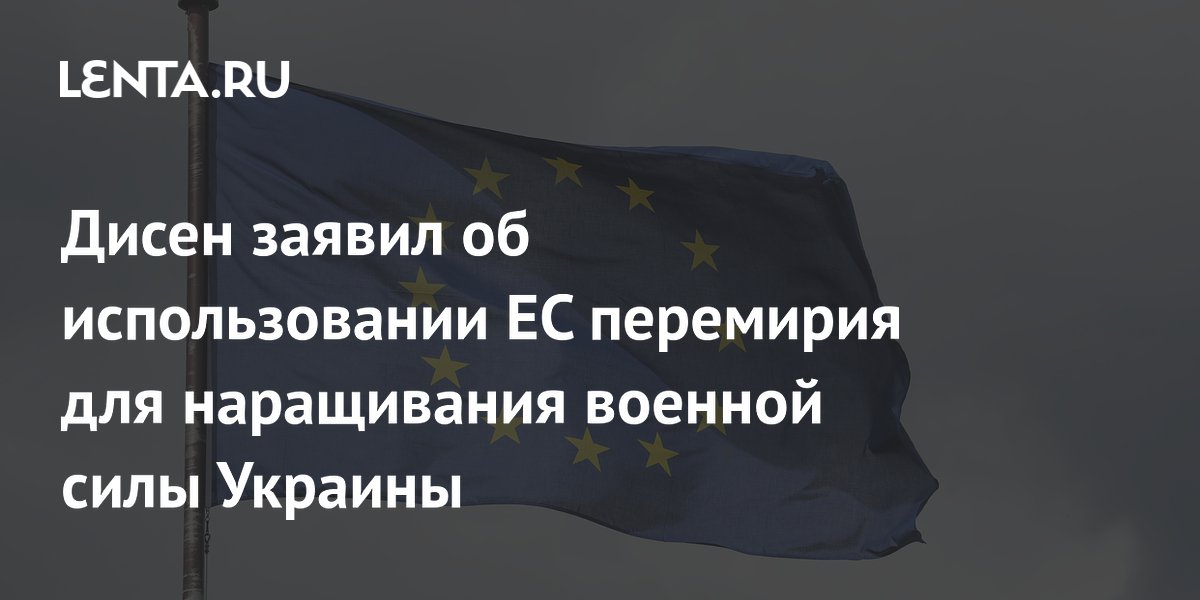 Профессор Дисен: ЕС использует перемирие для наращивания военной силы Украины