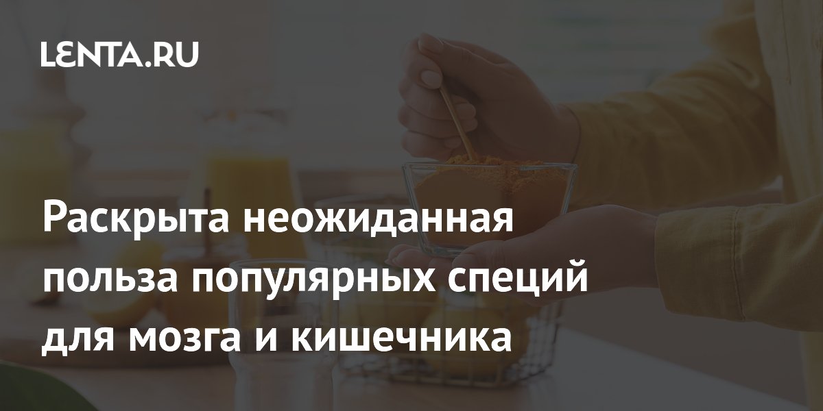 Специи поддержали здоровье кишечника и мозга: раскрыто влияние на микробиоту