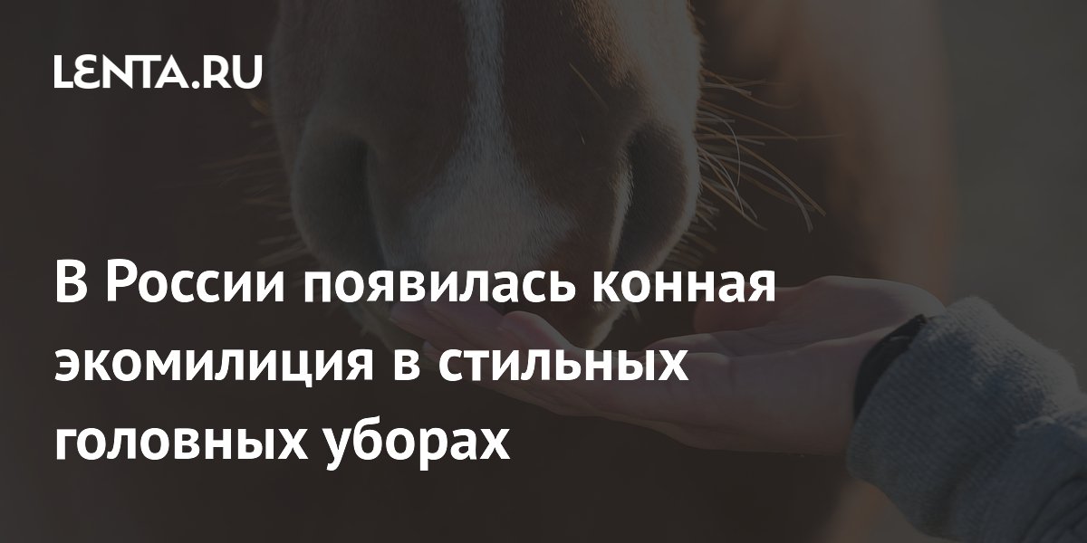 В Ленобласти конная экомилиция в кепках с ушами начала патрулирование