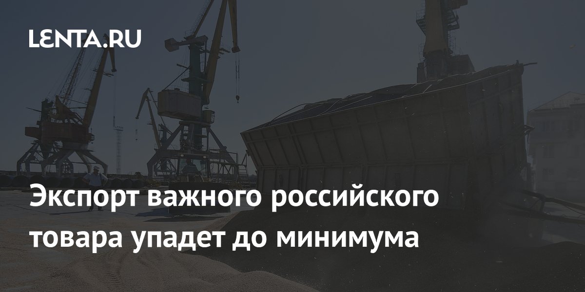 Экспорт российской пшеницы в июле упадет до минимума с 2017 года