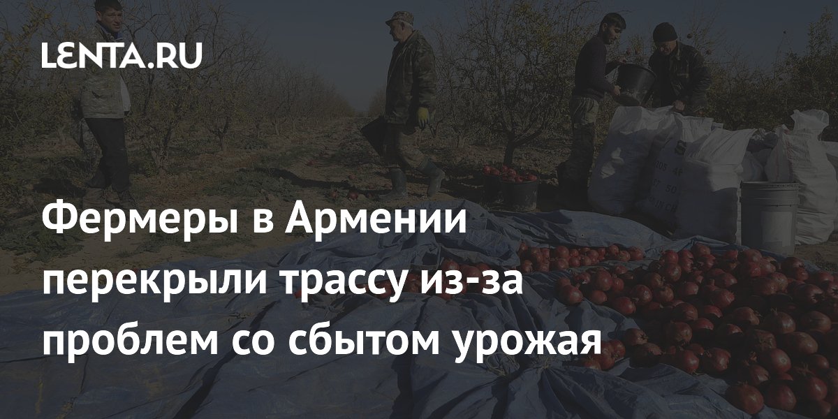 Армянские фермеры перекрыли трассу Ереван–Ерасх из-за срыва сбыта урожая