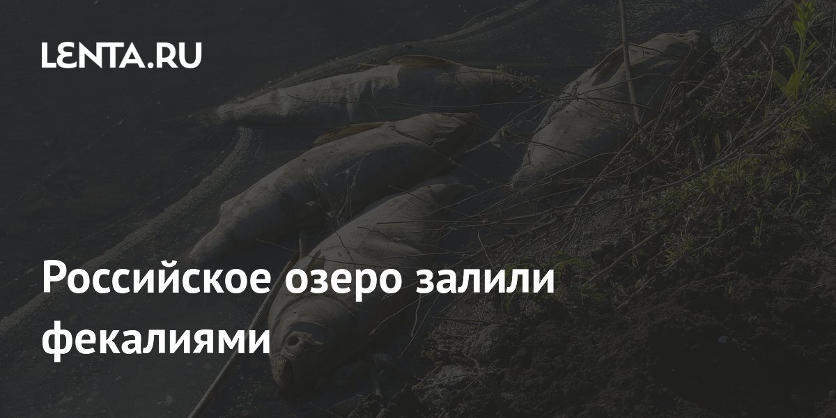Озеро Ягодное в Нижегородской области загрязнили сточными водами: жители жалуются на запах и мор рыбы