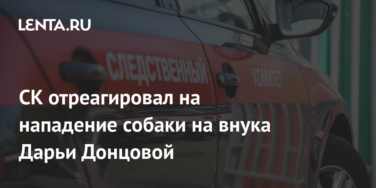 СК возбудил дело после нападения собаки на внука Дарьи Донцовой