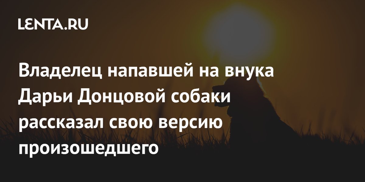 Владелец напавшей на внука Донцовой собаки изложил свою версию инцидента