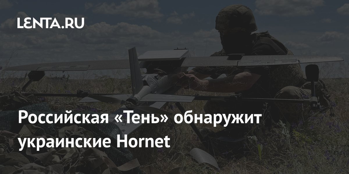 ���������� �������� ������ ������������ �����-��������� Hornet ���