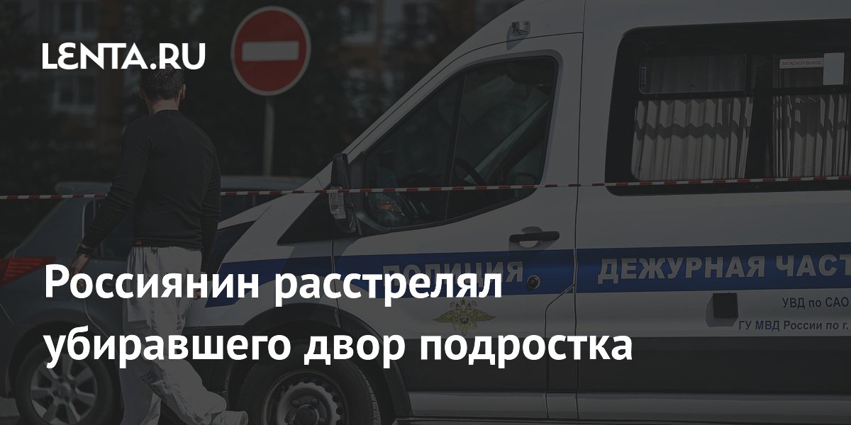 Пьяный житель Электростали расстрелял подростка, убирающего двор