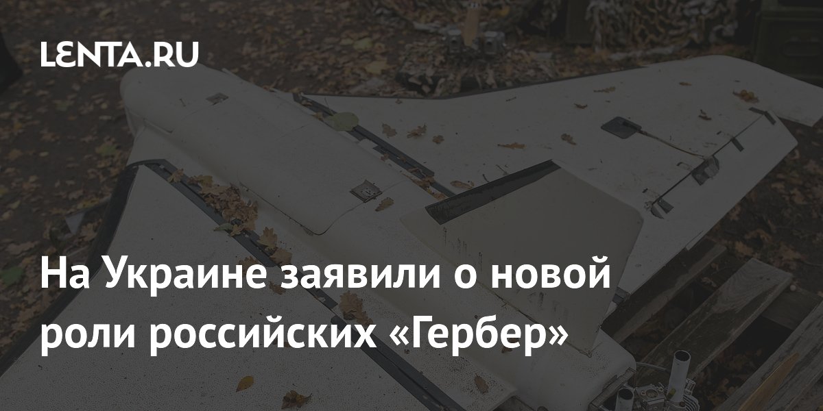 Российские дроны «Гербера» начали управлять ударными «Молниями» на дальних дистанциях