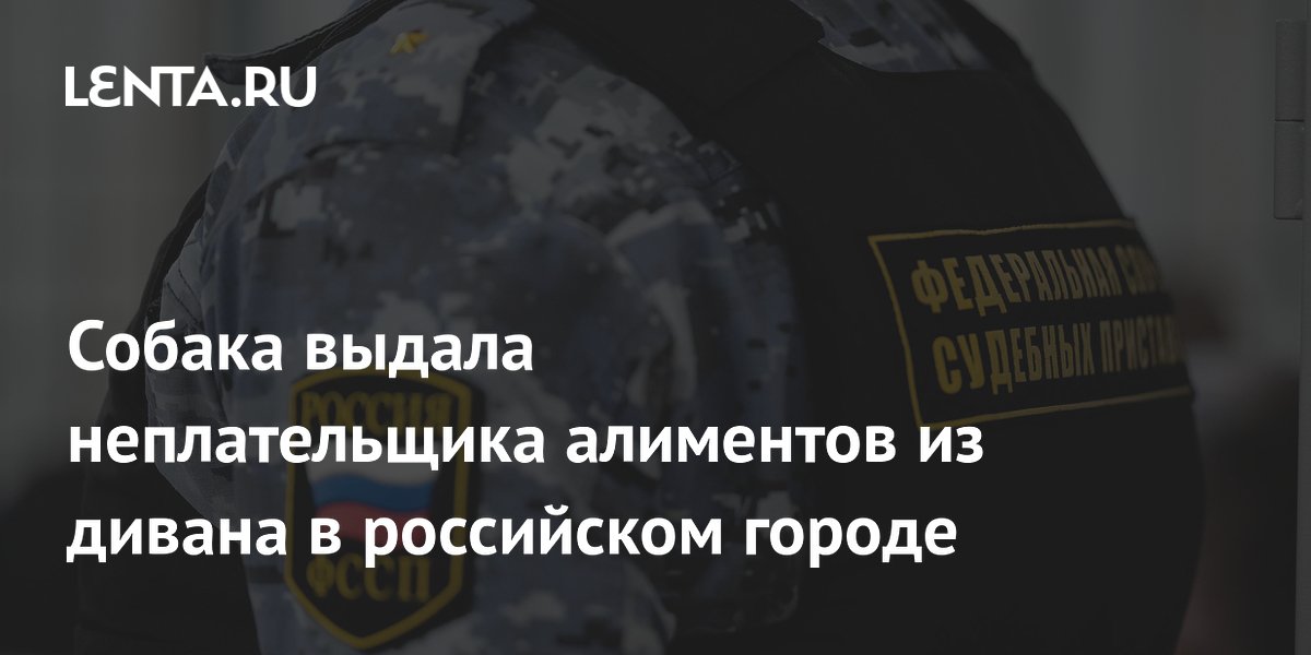Собака выдала неплательщика алиментов: в Нижнем Новгороде мужчину нашли в диване