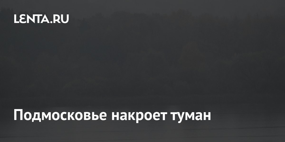 МЧС предупредило о тумане в Подмосковье до утра 24 июля