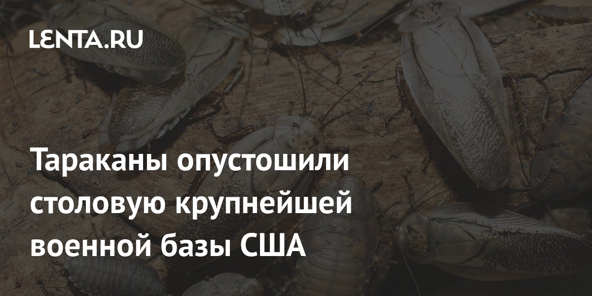 Нашествие тараканов закрыло столовую крупнейшей военной базы США