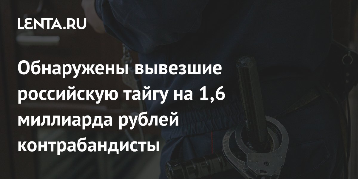 Контрабандистов тайги осудили на сроки до 11 лет и штрафы до 950 тыс. рублей