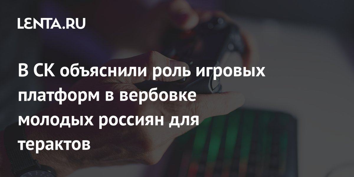 Бастрыкин: игровые платформы стали идеальной средой для вербовки молодежи