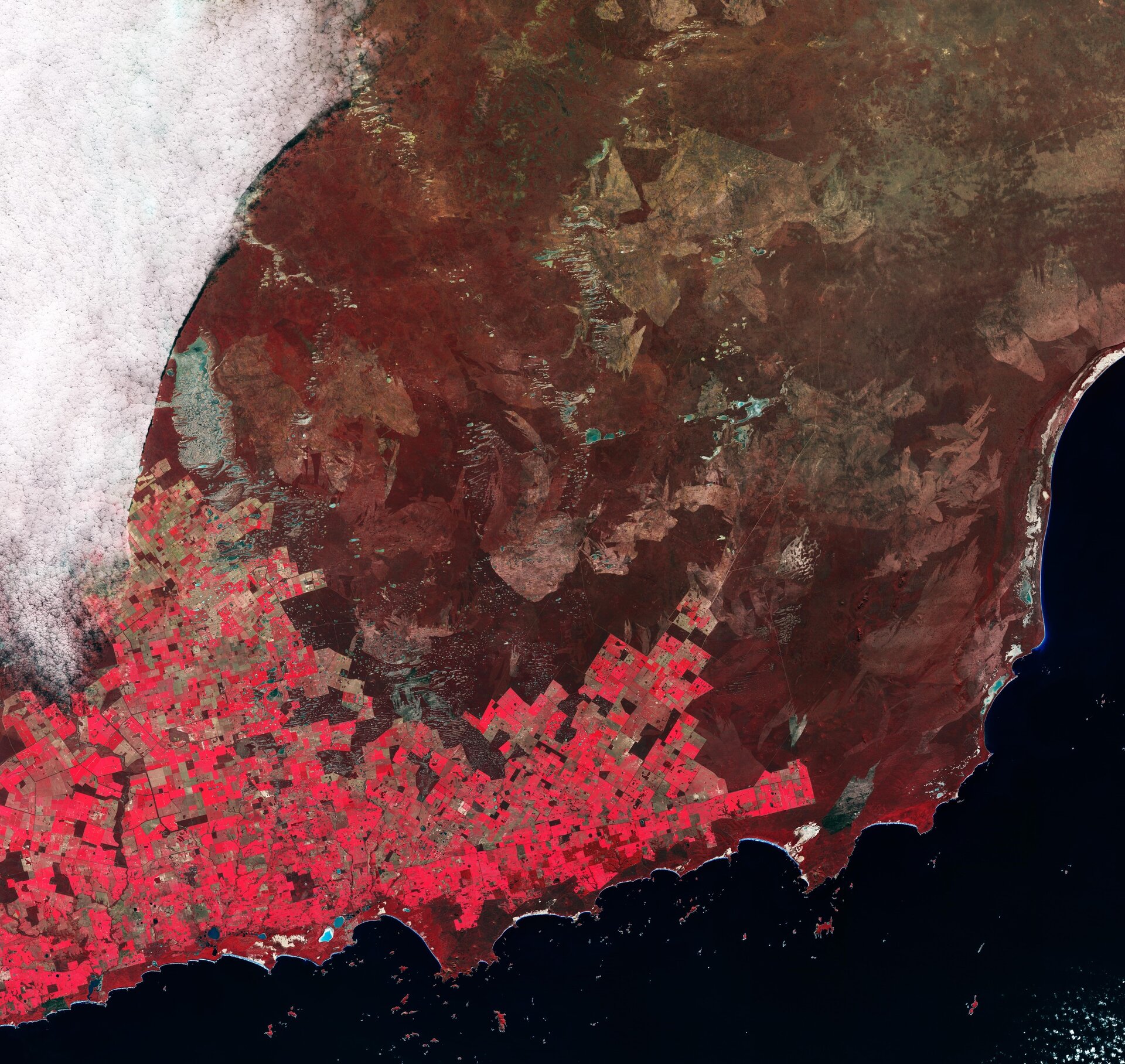 Copernicus Sentinel-2 запечатлел лоскутное одеяло полей в Западной Австралии