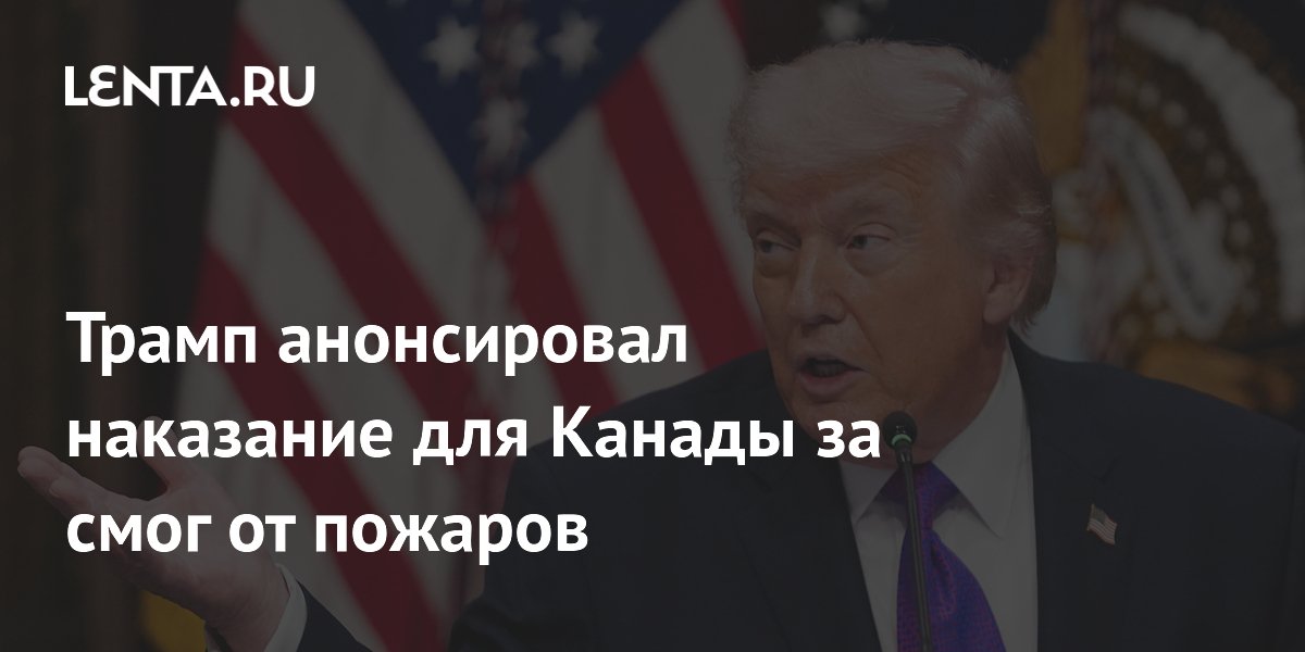 ����� ����������� ����� ������ �� ���� �� ������ �������