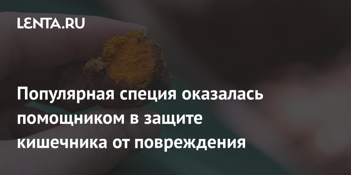 Куркумин уменьшил повреждение кишечника при сальмонелле в эксперименте