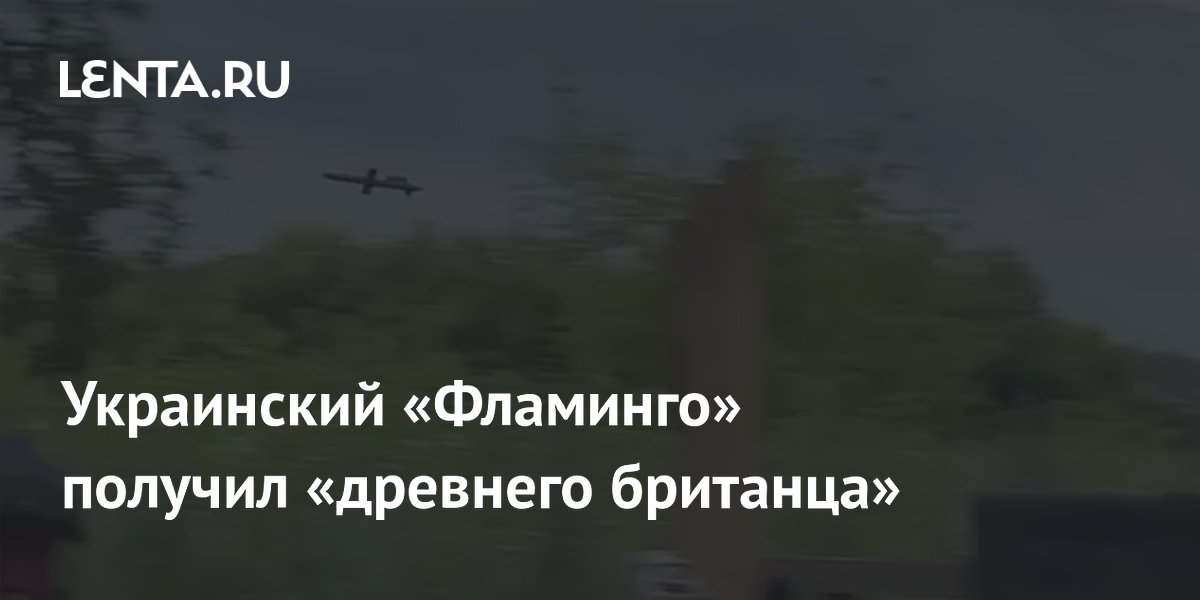 ����� ���������� ����� ��������� ����� �������� ���������� ���������� ���������