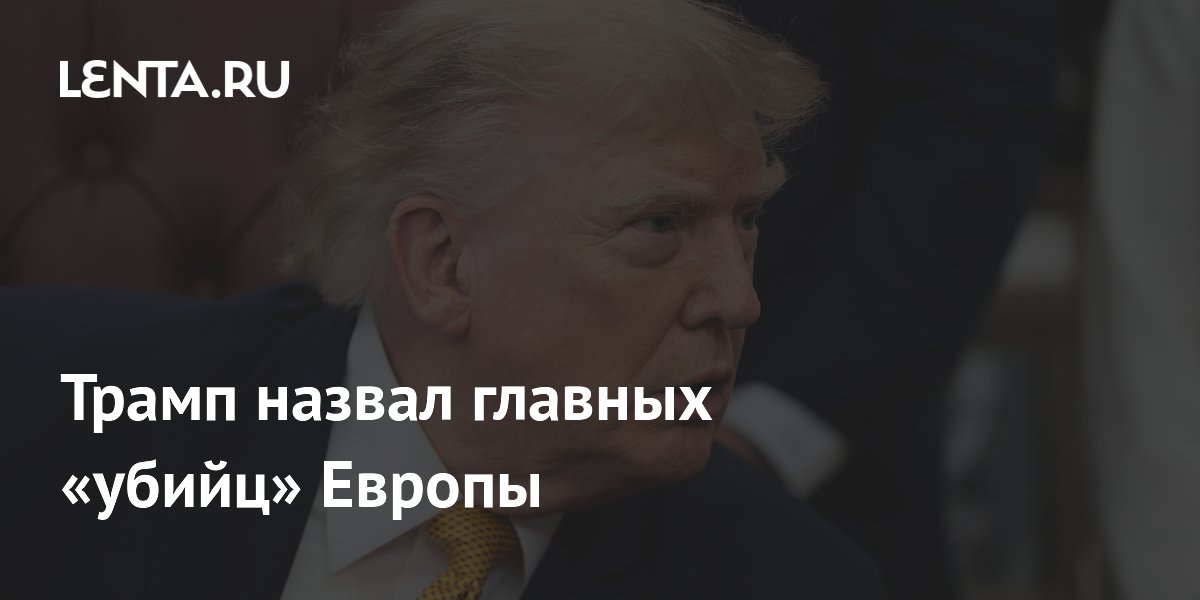 Трамп назвал нелегальную миграцию и энергетику главными проблемами Европы