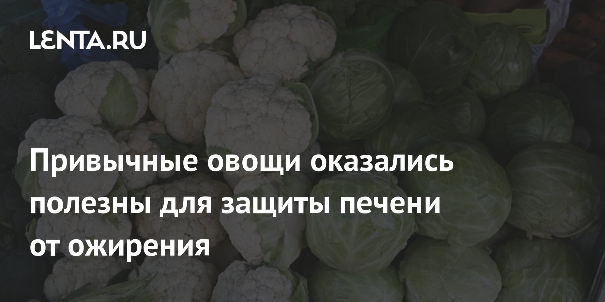 Капуста и брокколи: синигрин замедляет жировую болезнь печени
