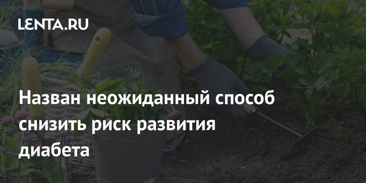 Сад у дома снижает риск диабета второго типа: исследование 19 тысяч человек