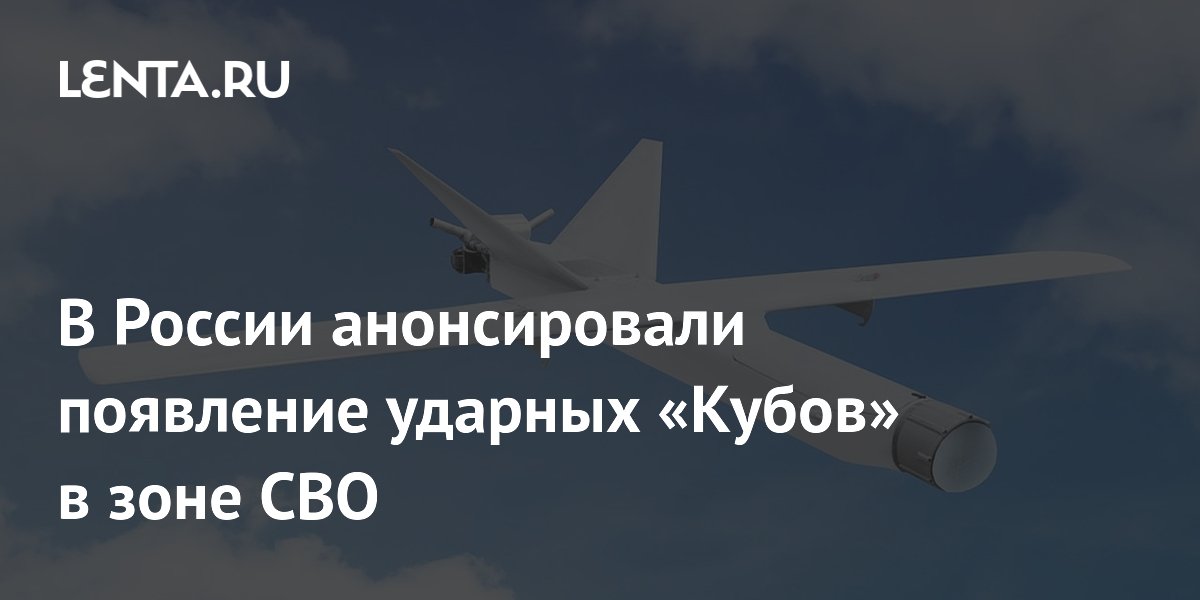 «Куб-10МЭ» с ИИ и боевой частью 11 кг поступит в зону СВО