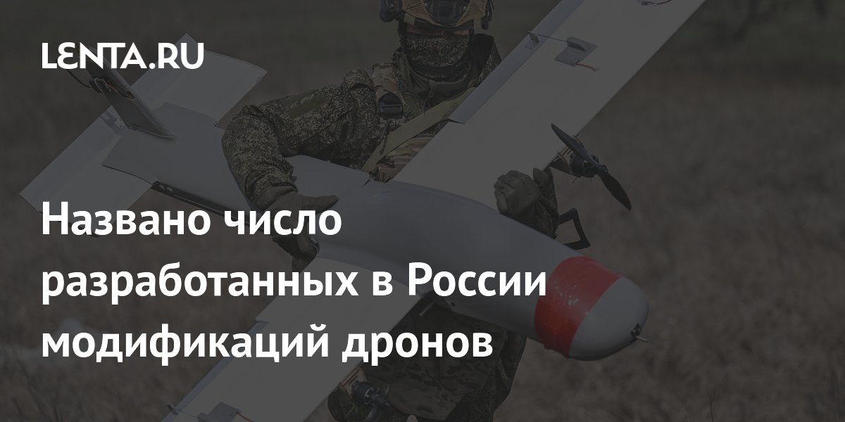 В России разработано более 100 модификаций дронов