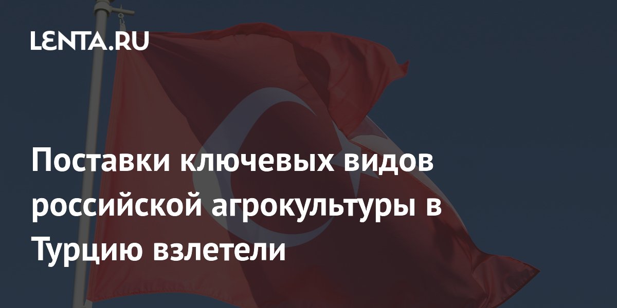 Экспорт российской пшеницы и ячменя в Турцию резко вырос в июне