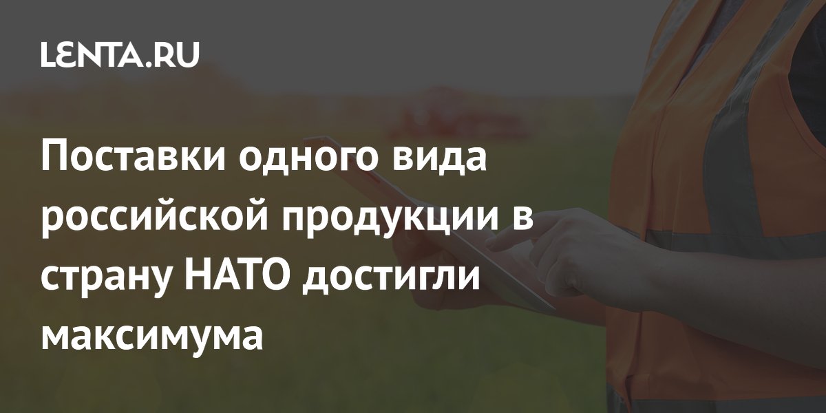Экспорт российской кукурузы в Турцию достиг максимума с мая 2024 года