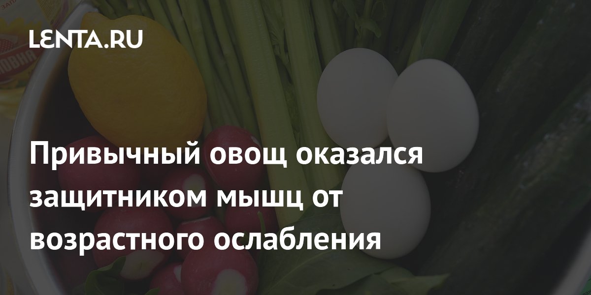Экстракт семян сельдерея замедлил возрастную потерю мышечной массы у мышей
