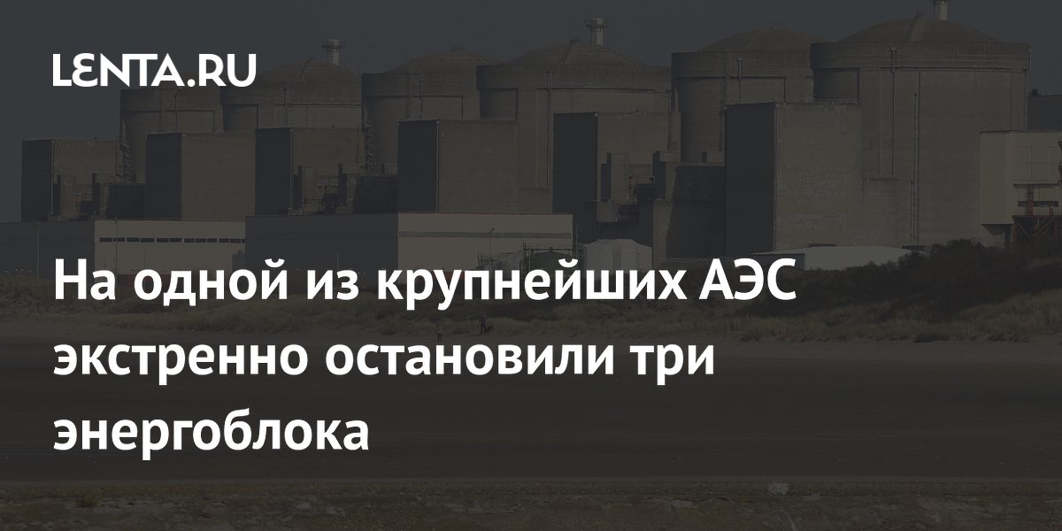 На крупнейшей АЭС Франции «Гравлин» из-за медуз остановили три энергоблока