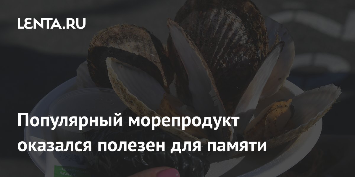 Морские гребешки улучшили память у людей старше 40 лет — исследование Морские гребешки улучшили память у людей старше 40 лет — исследование