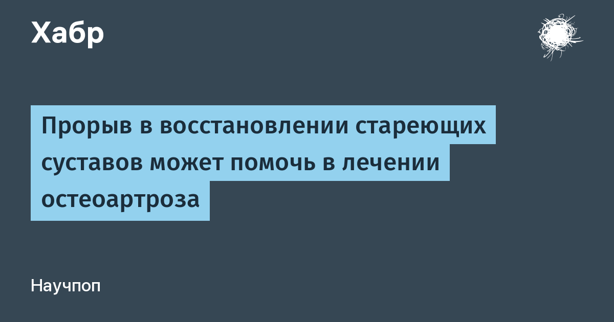 Стэнфордские учёные нашли способ запустить восстановление суставного хряща