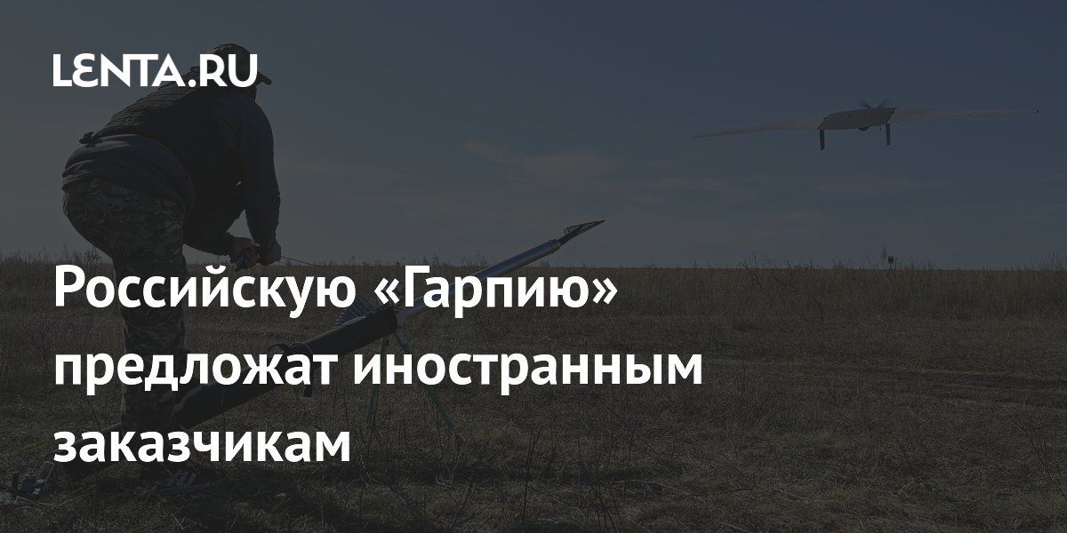 «Алмаз-Антей» предложит иностранным заказчикам дрон-камикадзе «Гарпия-А1Э»
