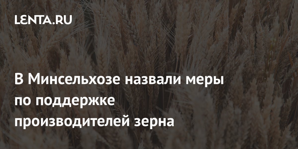 Минсельхоз анонсировал закупочные интервенции для поддержки зернопроизводителей